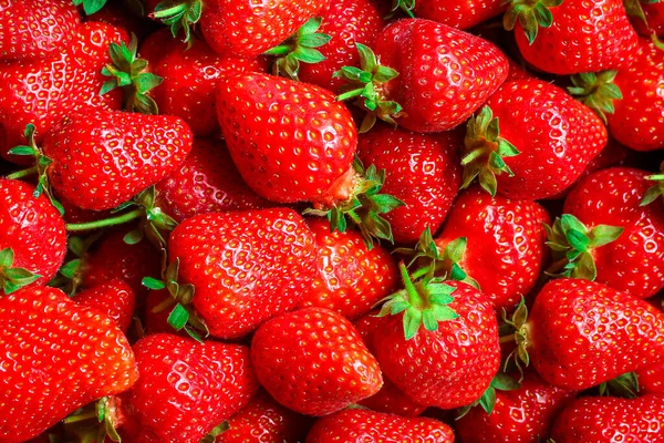 Strawberry Matang Dan Juicy Berry Konsep Makan Sehat Ruang Salinan Stok Foto Bebas Royalti