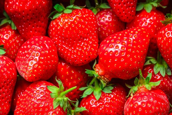 Strawberry Matang Dan Juicy Konsep Merah Berrie Sehat Makan Ruang — Stok Foto