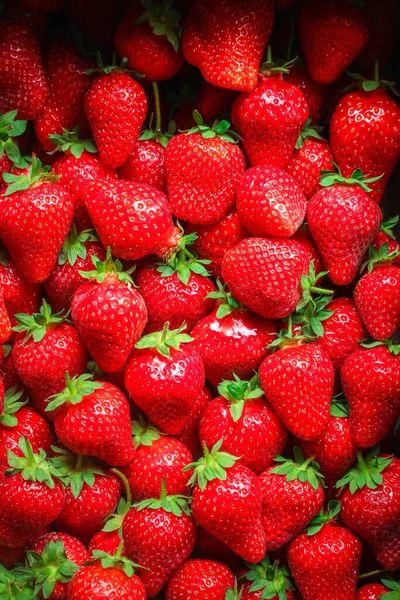 Fraise Mûre Juteuse Concept Berrie Rouge Saine Alimentation Aliments Fond — Photo