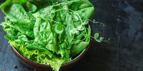 Salade Verte Épinards Roquette Laitue Microvert Menu Portion Aliments Fond — Photo