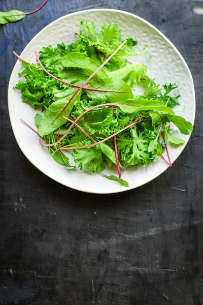 Grön Sallad Blad Mix Grönsaker Som Serverar Storlek Ekologisk Hälsosam — Stockfoto