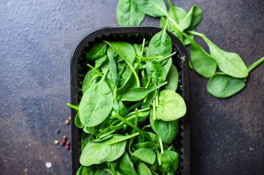 ıspanak salatası yeşil sulu salata organik salata. Metin diyeti için doğal görünüm fotokopi alanı sunuyor.