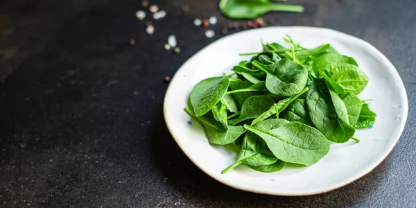 spinach salad green juicy leaves organic salad serving size natural top view copy space  for text diet raw food background rustic