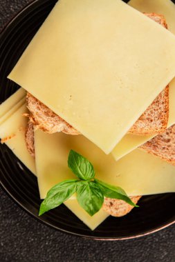 Sandviç, peynir, atıştırmalık taze lezzetli gurme yemek arkaplanı, masanın kırsal kesiminde fotokopi alanı.