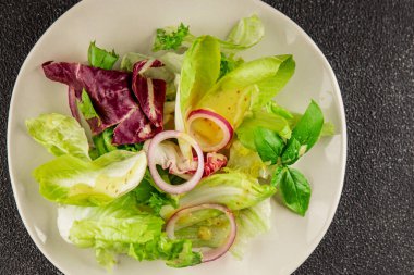 Hindiba salatası yeşil yaprak karışımı sebzeler... doğal ürün... lezzetli yemek... lezzetli gurme yemek... masanın üstünde... kırsal üst görünüm... fotokopi alanı... keto ve paleo diyet vegan ve vejetaryen yiyecekler.