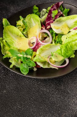 Hindiba salatası yeşil yaprak karışımı sebzeler... doğal ürün... lezzetli yemek... lezzetli gurme yemek... masanın üstünde... kırsal üst görünüm... fotokopi alanı... keto ve paleo diyet vegan ve vejetaryen yiyecekler.