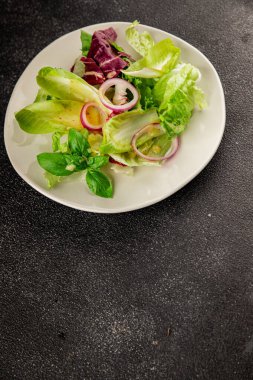 Hindiba salatası yeşil yaprak karışımı sebzeler... doğal ürün... lezzetli yemek... lezzetli gurme yemek... masanın üstünde... kırsal üst görünüm... fotokopi alanı... keto ve paleo diyet vegan ve vejetaryen yiyecekler.