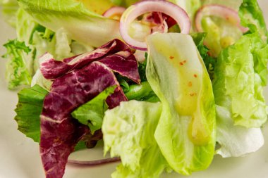 Hindiba salatası yeşil yaprak karışımı sebzeler... doğal ürün... lezzetli yemek... lezzetli gurme yemek... masanın üstünde... kırsal üst görünüm... fotokopi alanı... keto ve paleo diyet vegan ve vejetaryen yiyecekler.