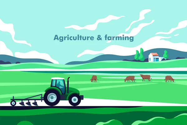 Concepto Industria Agrícola Agricultura Ganadería Paisaje Rural Con Espacio Copia — Vector de stock