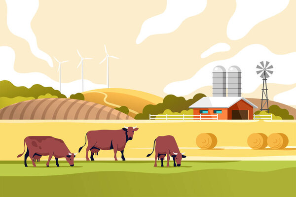 Agriculture industry, farming and animal husbandry concept. Summer rural landscape with cows, fields and farm. Vector illustration.