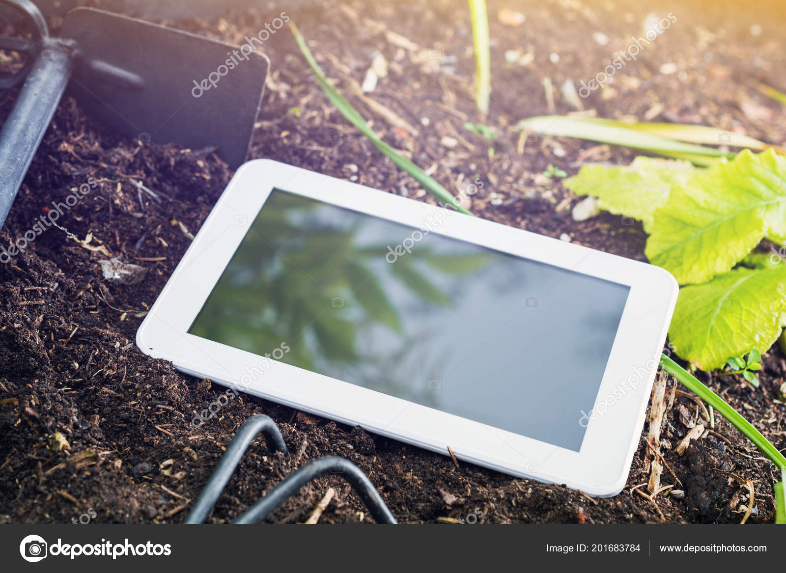 Garden Work White Business Tablet Gardening Tools Sunrise Stock Garden Work White Business Tablet Gardening Tools Sunrise Stock Photo
