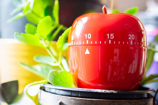 10 minuten - rode kookwekker ei gelegd op een bloempot — Stockfoto