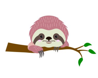 Ağaçtaki üç parmaklı tembel hayvanın sevimli yüzü ve pençeleri. Çizgi film tarzında vektör illüstrasyonu beyaz arkaplanda izole edildi.