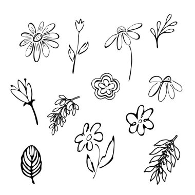 Şirin karalama el çizimi, bitkisel çiçek ve yapraklar. Beyaz arka planda küçük siyah çiçek hatları. Kumaş, kağıt, duvar kağıdı üzerine basit tasarım baskısı için Doodle sanatı