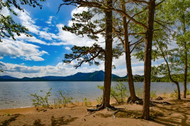 Kazakistan. Lake Borovoe. Yaz güneşli manzara .