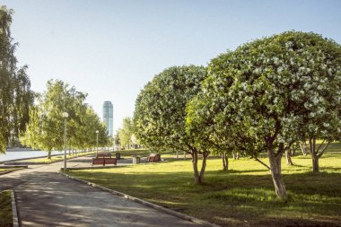 Rusya. Yekaterinburg. Şehir göletinin sahilinde ki kare ( Drama meydanı ).