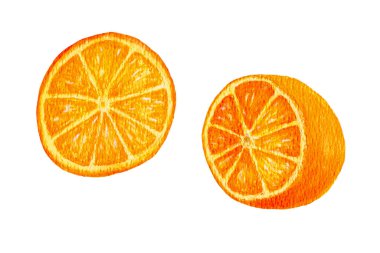 Suluboya turuncu. Citrus. Organik gıdaların suluboya resimleri. Taze egzotik meyve. İyi tanımlanmış kağıt desenli suluboya portakal. El çizimi.
