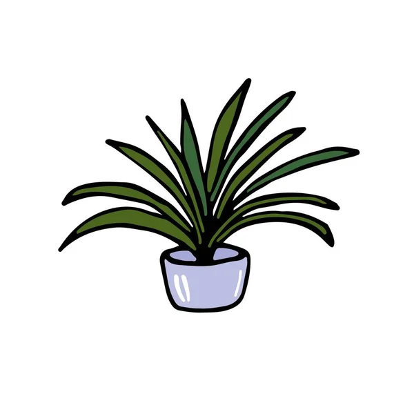 Yucca Plant Een Pot Geïsoleerd Met Hand Getekend Vector Platte — Stockvector