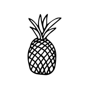 Ananas çizgisi simgesi. Trend Tropikal Element. Vektör Grafikleri. İzole edilmiş. Elle çizilmiş.