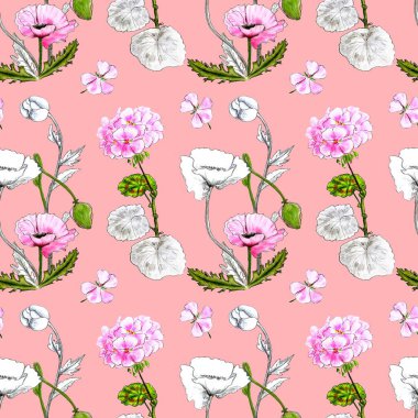 Sardunya çiçekli desen ve pembe arka planda vahşi pembe haşhaş. Kumaş, duvar dekorasyonu, kağıt, kartpostal, paket kutusu için tasarım. El çizimi.