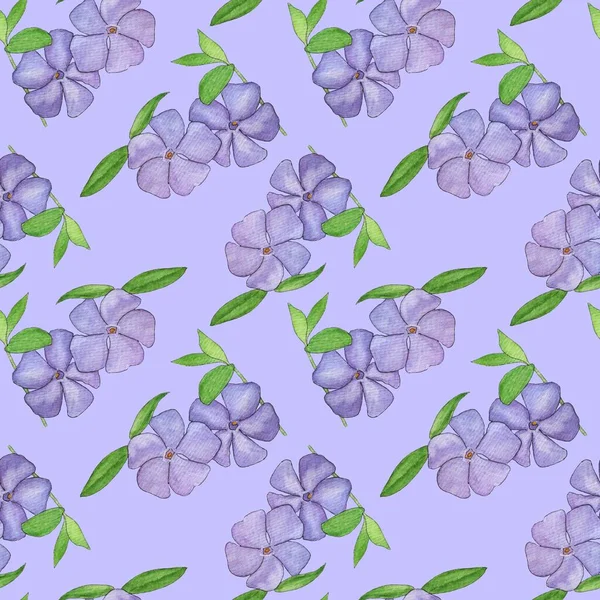 Periwinkle watercolor flower pattern. Purple watercolor wild periwinkle flowers on a purple background.Design for packaging, textiles, paper.