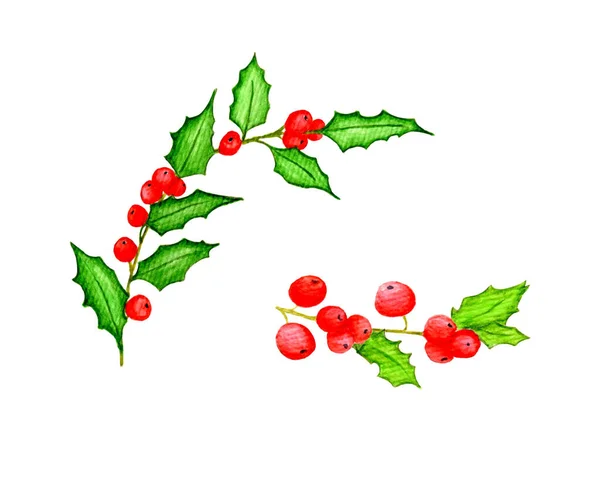 Akvarell järnek gren med röda bär och gröna blad. Element för vilda kort, inbjudningar, nyårshälsningar, etc. Isolerad på en vit bakgrund. — Stockfoto