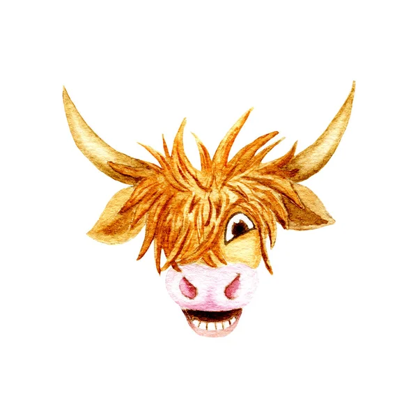 新年水彩缤纷的红色 2021年公牛 漫画中快乐的公牛 长着长长的角 长长的毛皮 白色的背景隔离在一起 2021年东亚星座的牛或公牛符号 中国黄道带星座 — 图库照片