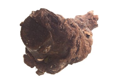 beyaz arkaplanda kuru kütük izole edildi