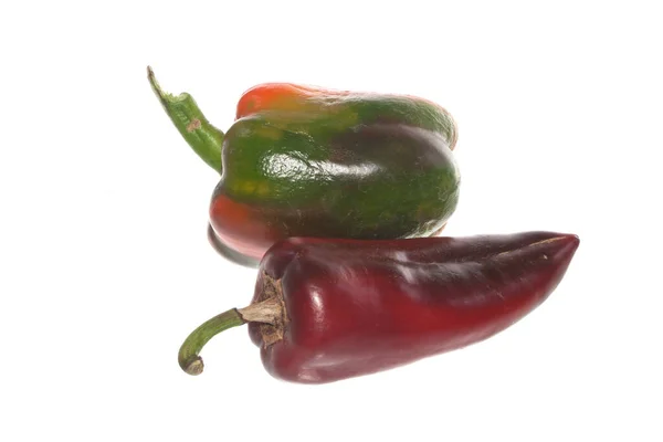 Paprika Izolované Bílém Pozadí — Stock fotografie