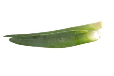 Aloe çiçeği beyaz arkaplanda izole