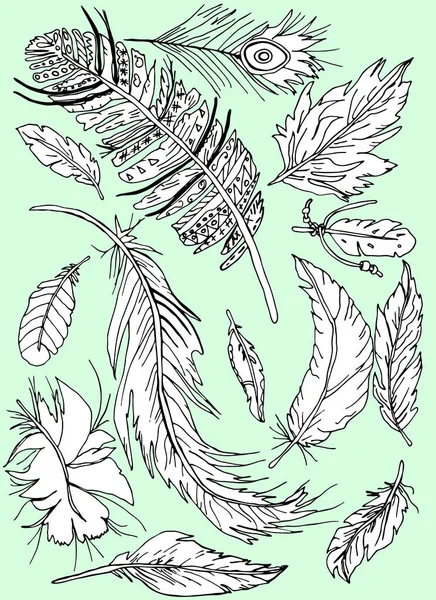 Bird feathers fantasy ornament many isolated beautiful — Stock Vector