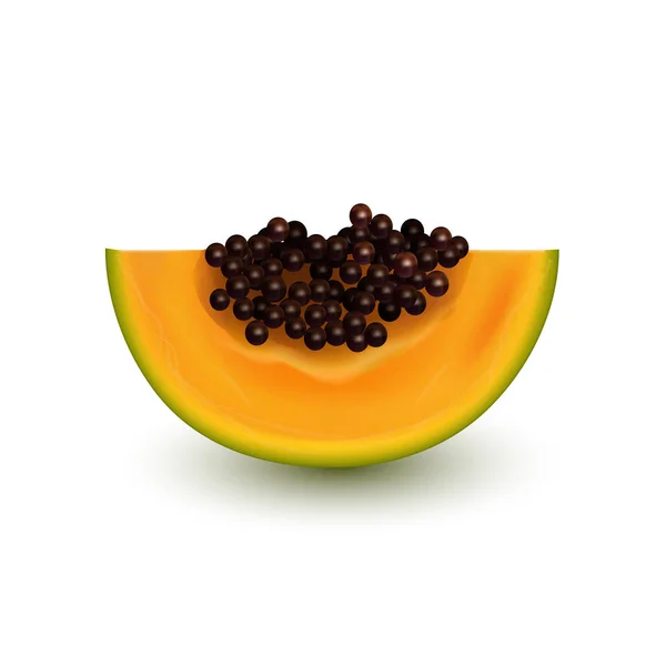 Реалистичный кусок папайи изолирован на белом фоне. Экзотические фрукты . — стоковый вектор