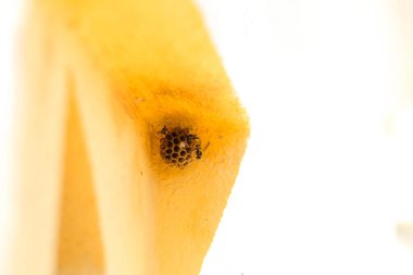 Bir sürü arı bal peteğine girmek istiyor.