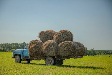 Samanlık taşıyan eski bir araba.. 