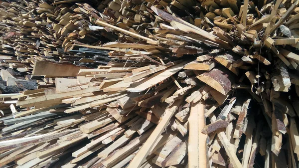 wood and wood chips - fuel for bio power plants