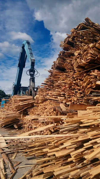 Bir Elektrik Santrali Için Odunu Biyoyakıta Dönüştürmek Için Gerekli Ekipman — Stok fotoğraf