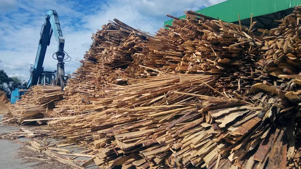 Bir elektrik santrali için odunu biyoyakıta dönüştürmek için gerekli ekipman.