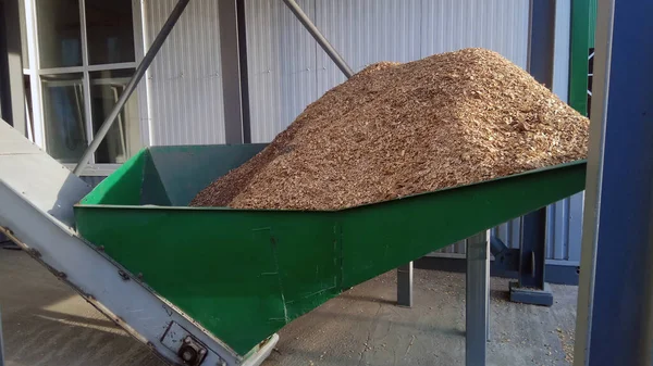 Alternatif yakıt, ekolojik yakıt, kömürden biyoyakıt talaşı, yakın plan ahşap talaşı. Talaş dokusu