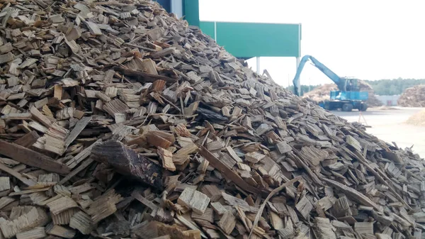 Alternatif yakıt, ekolojik yakıt, kömürden biyoyakıt talaşı, yakın plan ahşap talaşı. Talaş dokusu