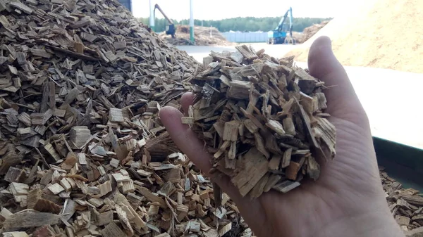 Alternatif yakıt, ekolojik yakıt, kömürden biyoyakıt talaşı, yakın plan ahşap talaşı. Talaş dokusu