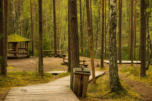 Picknickplatz Aus Holz Wald Mit Mülleimer Moos — Stockfoto