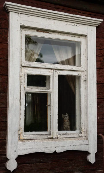 猫は古い家の古い窓の後ろの部屋に座って — ストック写真