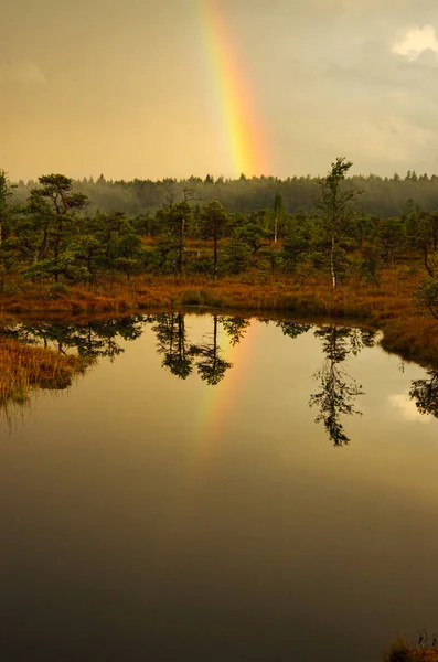 Regenbogen Mitten Teich Ruhe Und Genuss Chillen — Stockfoto