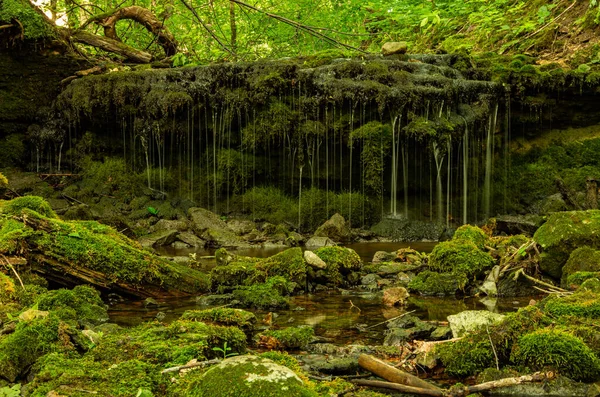 苔の多くと滝は非常に美しい緑 — ストック写真