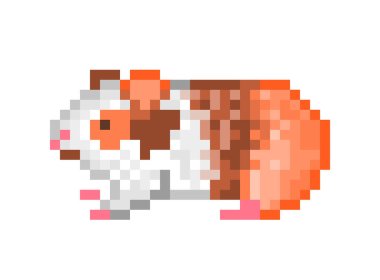 Cute guinea pig, pixel art icon isolated on white background. Friendly domestic animal character. Pet rodent. Retro vintage 80s,90s slot machine/video game graphics. 8 bit pet shop, shelter, vet logo. clipart
