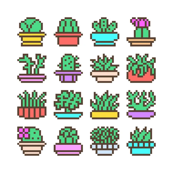 Big Set 16X16 Pixel Art Succulent Cactus Icons Isolated White — Stock Vector