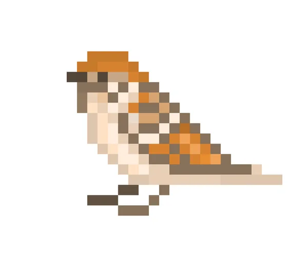 Pixel Art Pardal Isolado Fundo Branco Ícone Pássaro Pequeno Bits —  Vetores de Stock