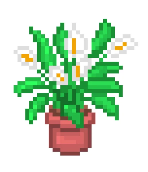 Fioritura Spathiphyllum Peace Lily Spath Pixel Art Illustrazione Isolata Sfondo — Vettoriale Stock