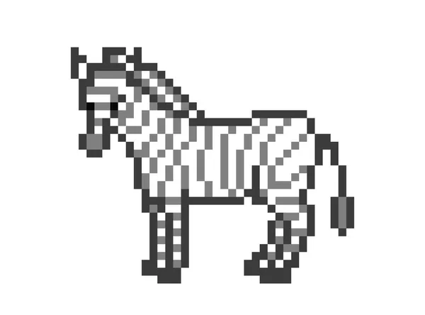 Zebra Auf Dem Boden Stehend Bit Pixel Kunstfigur Isoliert Auf — Stockvektor