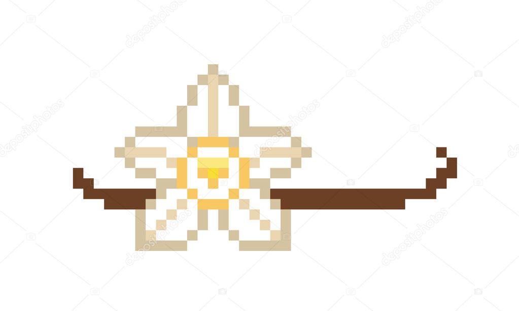 Vanilla orchid flower and dried vanilla pod, 8 bit pixel art icon isolated on white. Food, cosmetic product, perfume package design element. Exotic spice symbol. Aromatic cooking&baking ingredient.